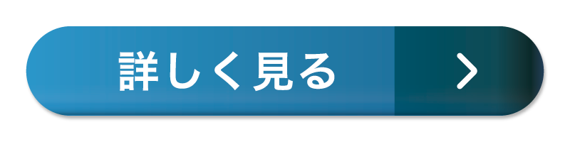 詳しく見る