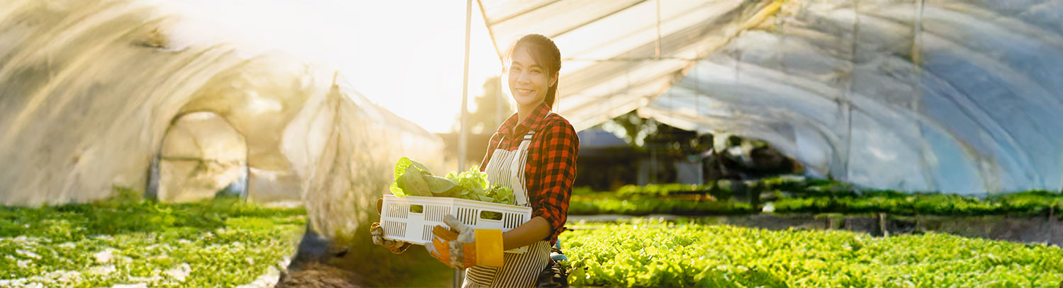 ワーキングホリデーでファームのアルバイト写真
