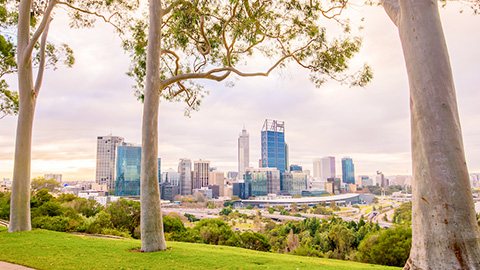 Lexisパース写真