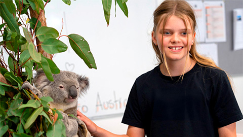 Lexisサンシャインコースト写真