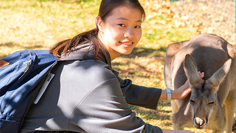 Lexisサンシャインコースト写真